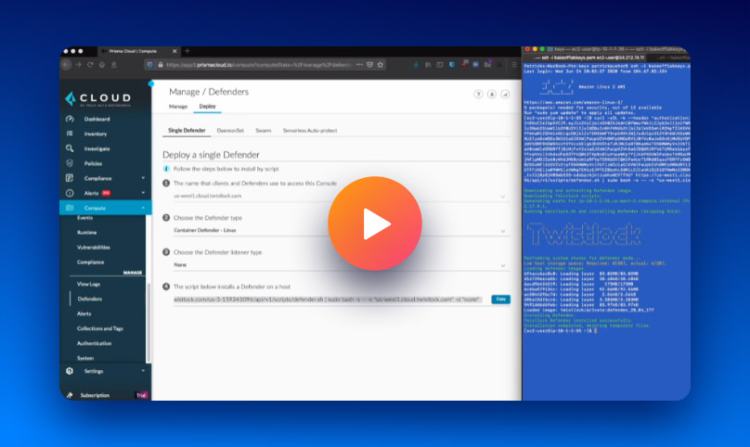 Twistlock Container Security vs Orca Security