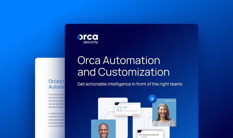 Orca Automation and Customization