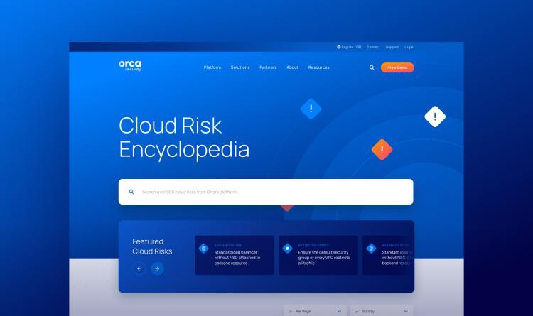 Orca Cloud Risk Encyclopedia: The Ultimate Resource for Security Practitioners