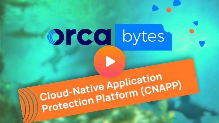 Orca Bytes: Orca Security, a True Cloud-Native Application Protection Platform