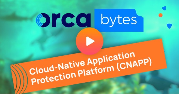 Orca Bytes: Orca Security, a True Cloud-Native Application Protection Platform
