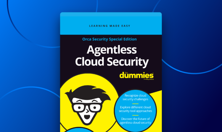Why You Should Read Agentless Cloud Security For Dummies