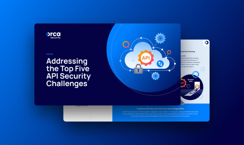 Addressing the Top Five API Security Challenges | Orca Security