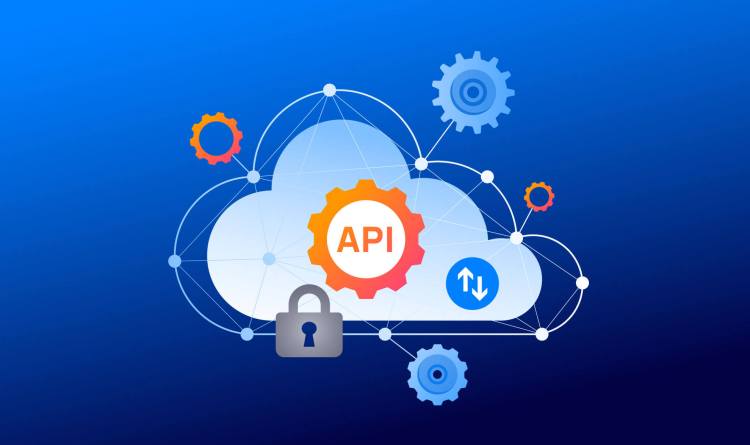 Multi-Cloud API Security With Continuous Visibility and Risk Management