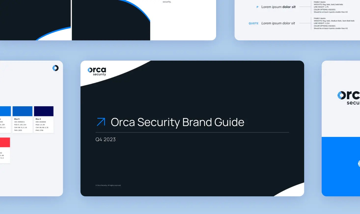 Orca Security Brand Guide
