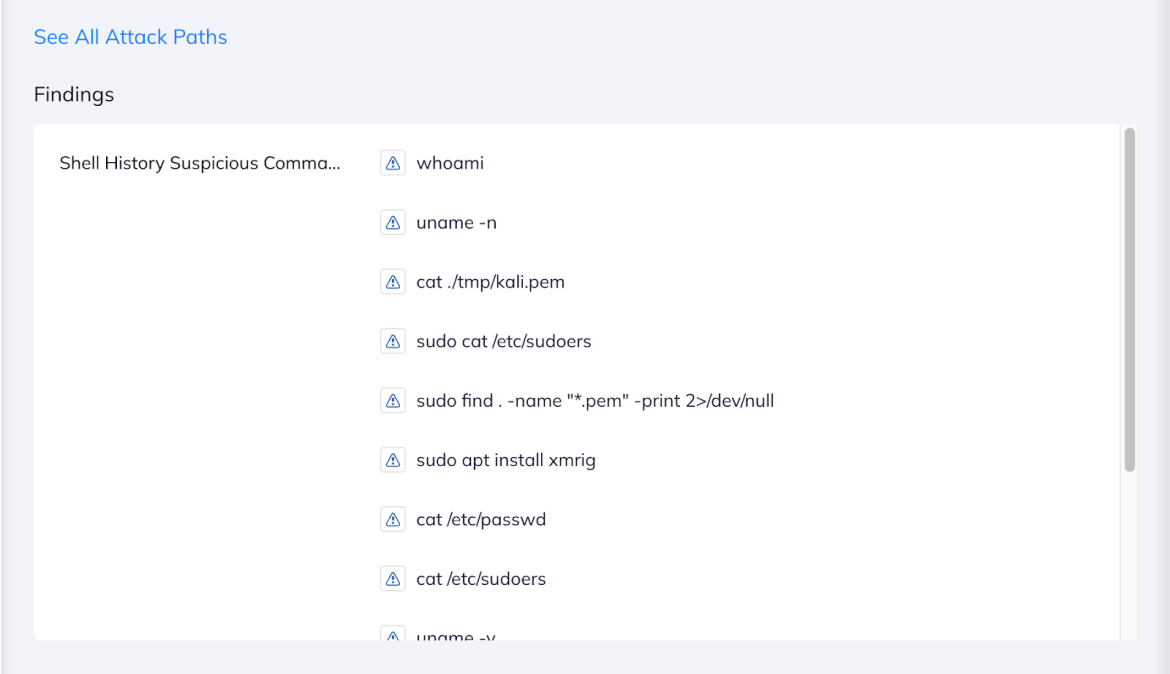 Examples of Shell History Suspicous Commands