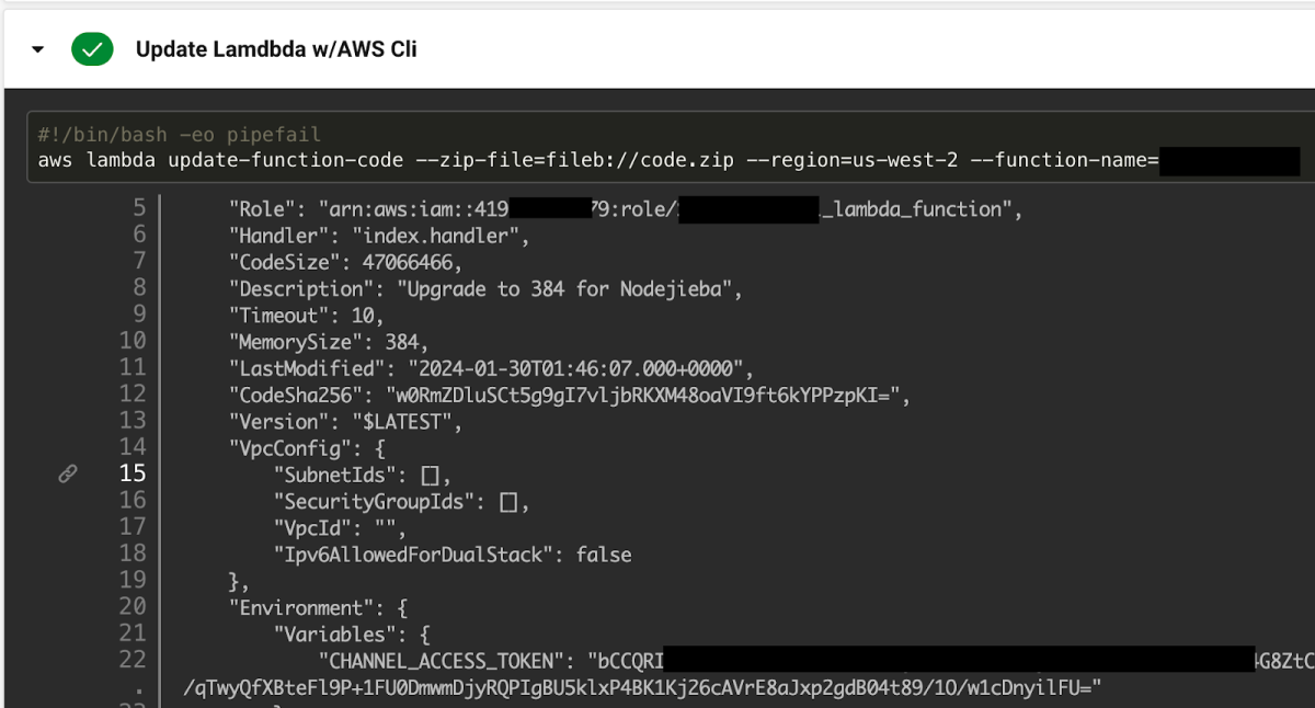 A screenshot of an example from the AWS CLI via CircleCI