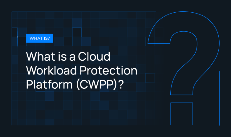 What is a Cloud Workload Protection Platform (CWPP)?