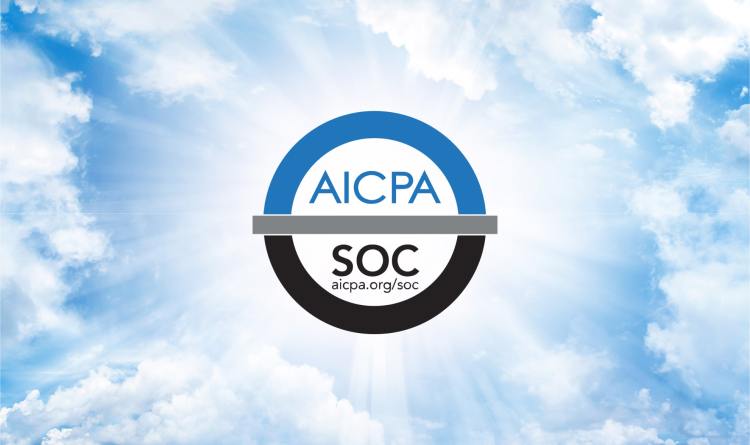 Meet Your SOC 2 Requirements Using Orca Security