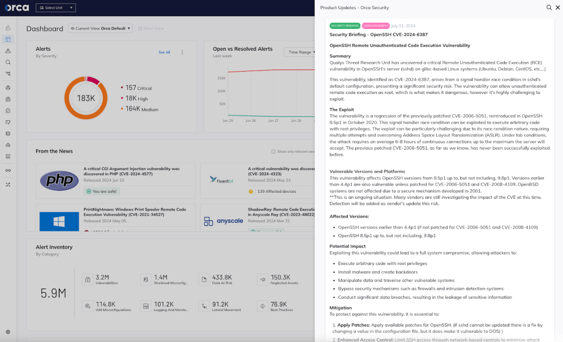 The Orca platform helps organizations detect and mitigate CVE-2024-6387