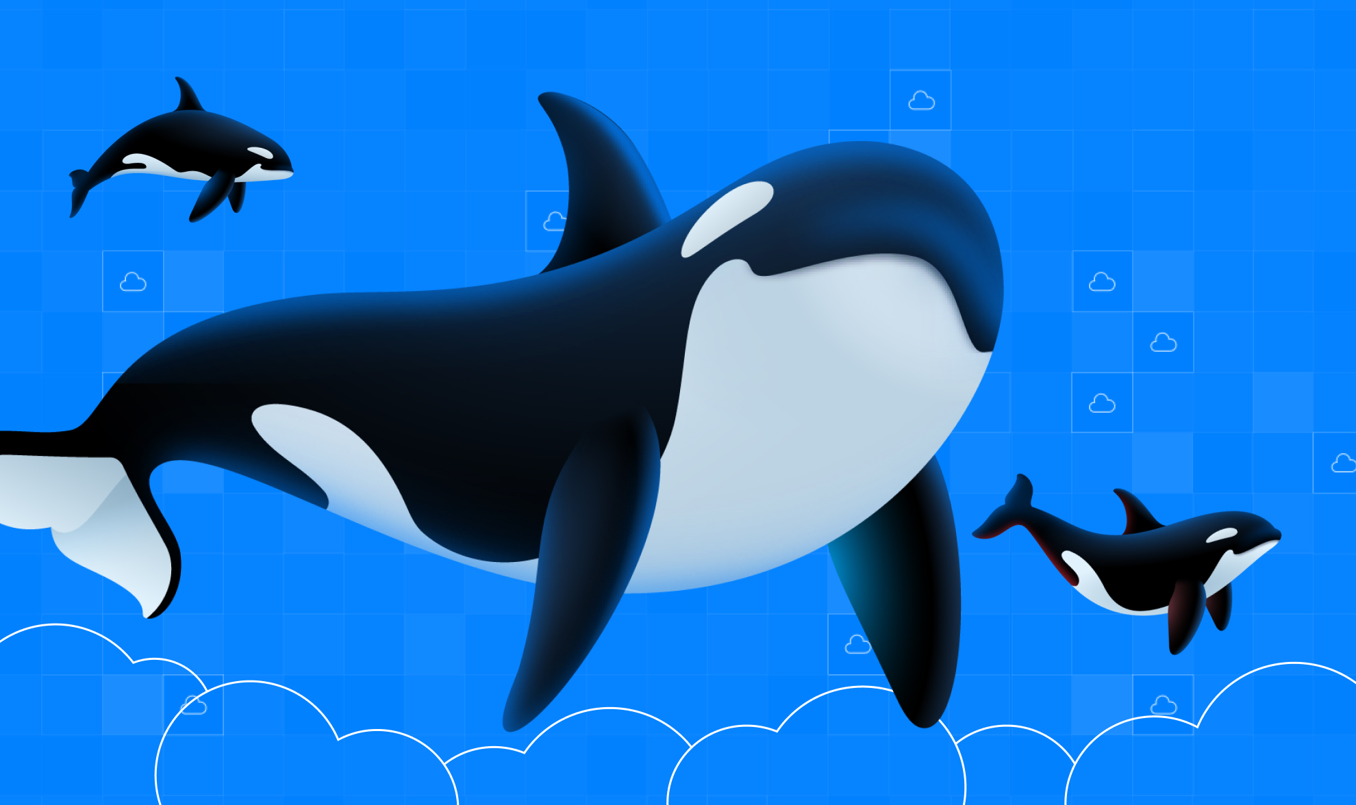 World Orca Day Blog