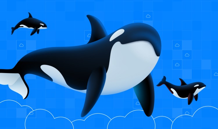 From Ocean to Cloud: The Orca Security Story