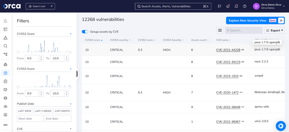 A screenshot of Orca's Filters dashboard exposing environment vulnerabilities