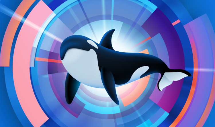 Connect with the Orca Pod at AWS re:Invent 2024