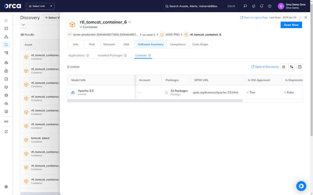 A screenshot of Orca’s Open-Source License Detection detailing all licenses in packages to enhance visibility and support compliance