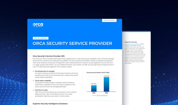 Orca Security Service Provider Datasheet