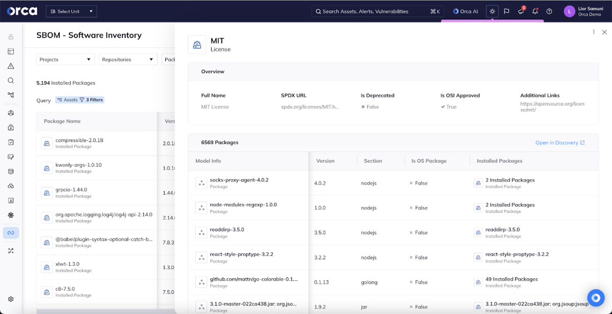 A screenshot of the Orca platform displaying detailed information about each installed package