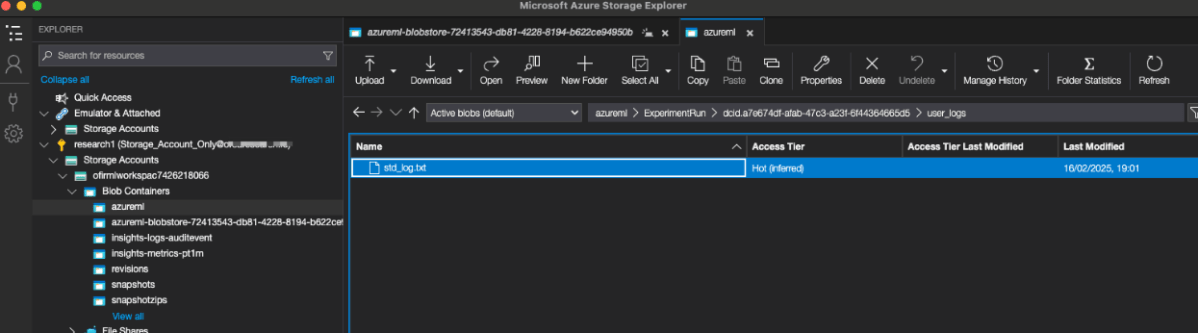 A screenshot of a view where the execution logs are located