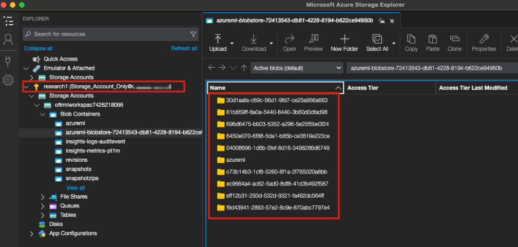 A screenshot of a view of the directory with IDs of each AML component used in the pipeline