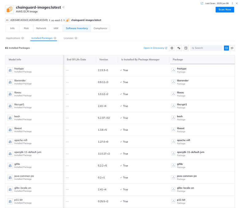 A screenshot from the Orca platform listing all installed packages on Chainguard containers