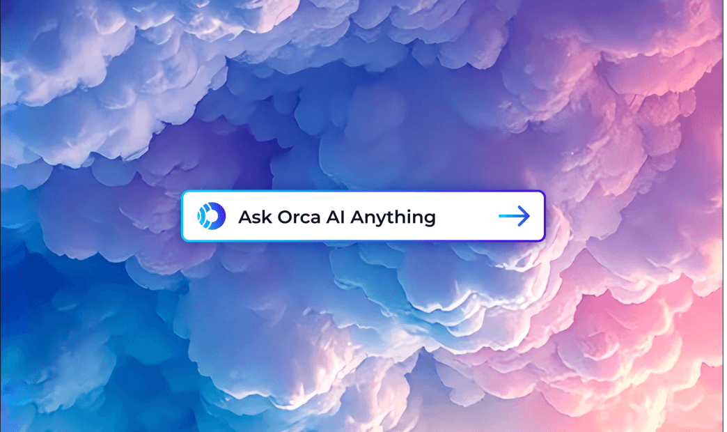 A stylized image of a search bar over colorful clouds inviting you to ask Orca AI anything