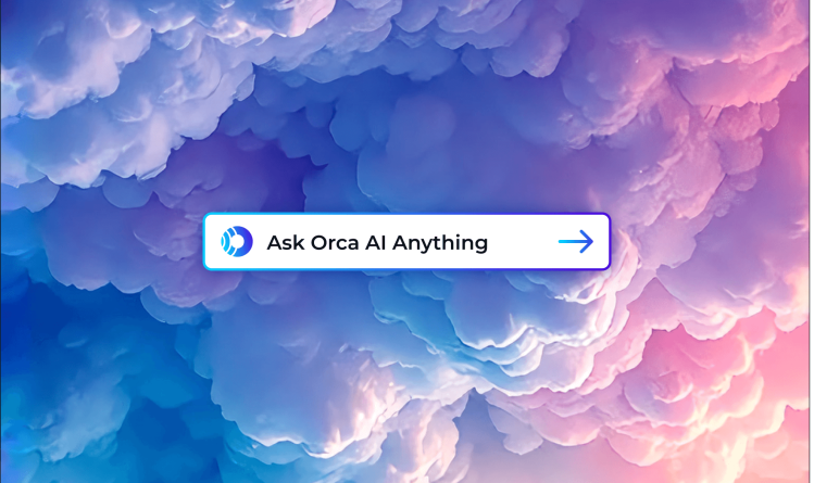 A stylized image of a search bar over colorful clouds inviting you to ask Orca AI anything