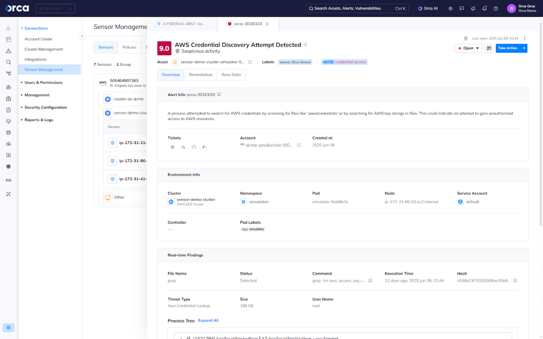 A screenshot of the Orca Platform leveraging the Orca Sensor for advanced detections of malicious activity in real-time