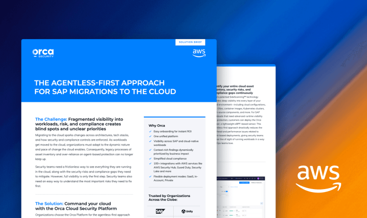 See Everything. Secure Everything. Command Your SAP migration with Orca.