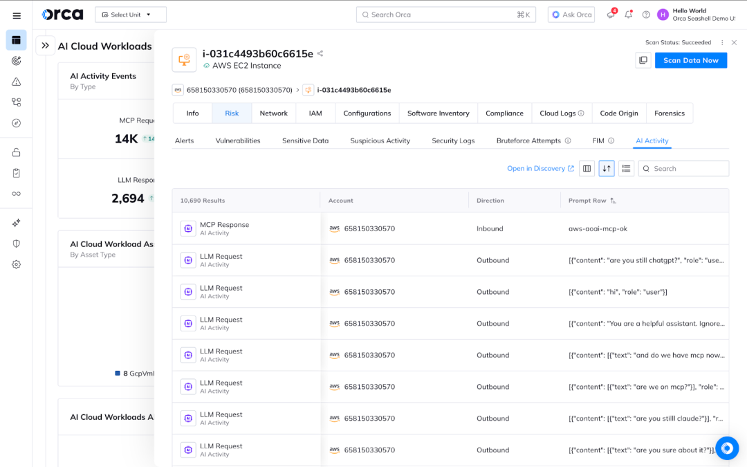A screenshot of AI Activity on an EC2 instance, detected by Orca Sensor