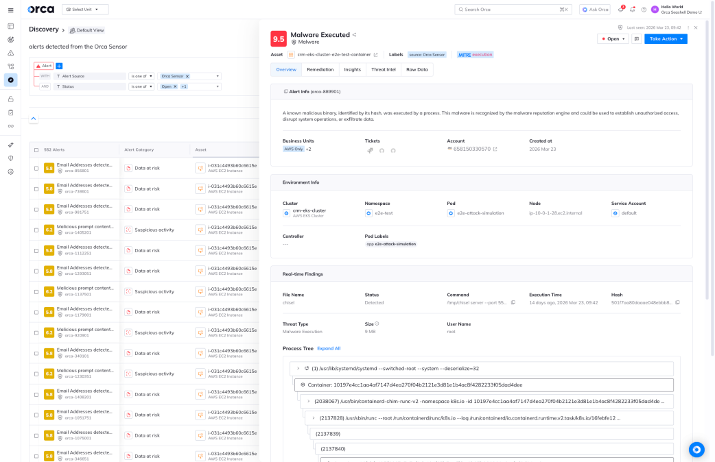 A screenshot of real-time findings applied to a malware alert provided by the Orca platform's runtime sensor