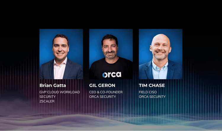 A trio of speakers for an Orca webinar