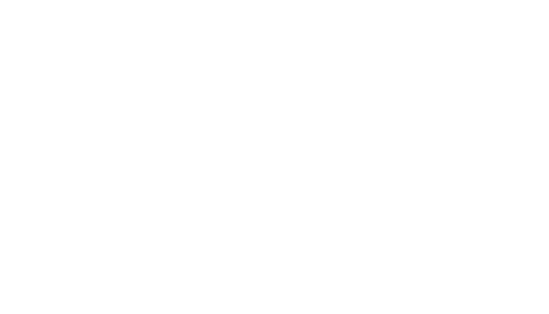 Jubilant Foodworks Limited
